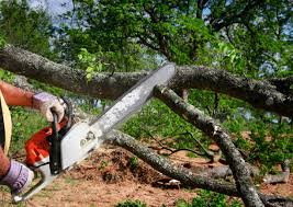 Best Lawn Grading and Leveling  in Scanlon, MN